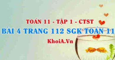 Bài 4 trang 112 SGK Toán 11 Tập 1 Chân trời sáng tạo